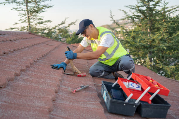 Best Roof Gutter Cleaning  in West Liberty, WV