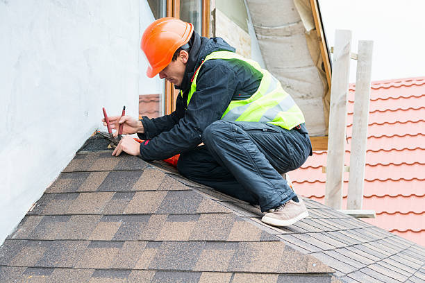 Best Roof Gutter Cleaning  in West Liberty, WV